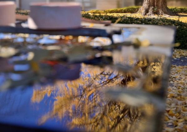 6銀杏の清め ー  岡　s-DSC_8214