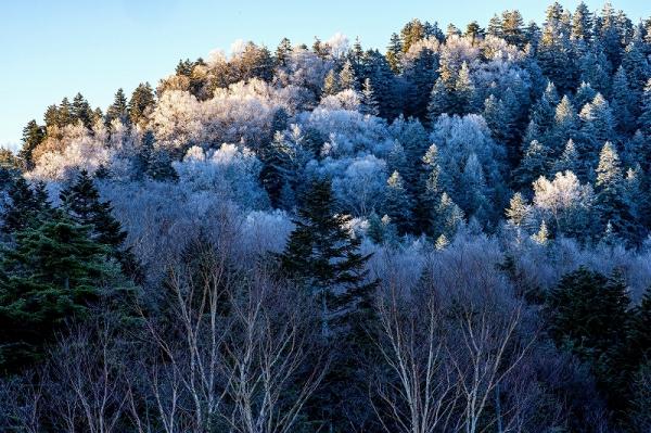 勝田s-②小澤－朝日に輝く