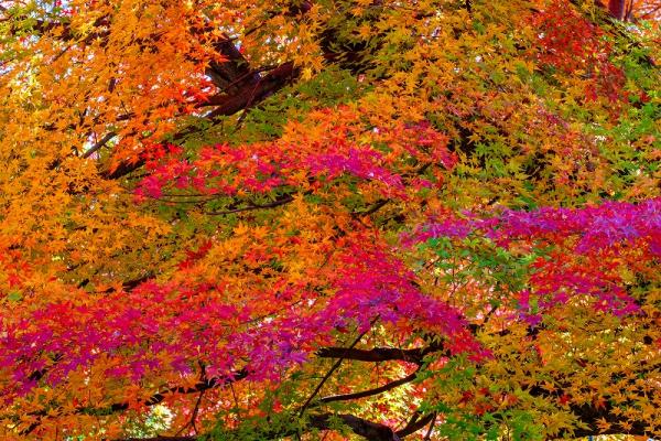 7①小澤ー又野公園１