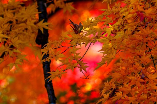 7②小澤ー又野公園２