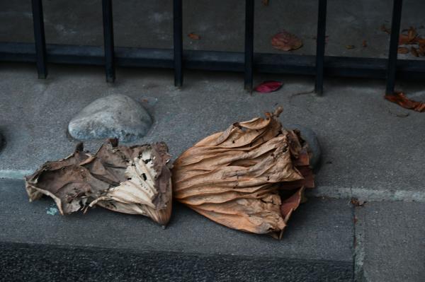 3DSC_5065_1&rarr;撮影者&rarr;池上&rarr;タイトル&rarr;たどり着いた先は