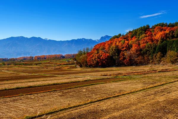 4②小澤ー津金から南アルプス