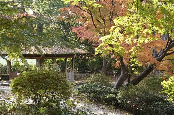 7－1渋谷－日本庭園