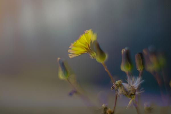 10－武田冬の日①