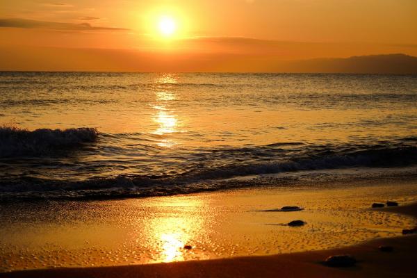 5-2s-DSC_5060-2&rarr;撮影者&rarr;池上&rarr;タイトル&rarr;黄金色に輝く海