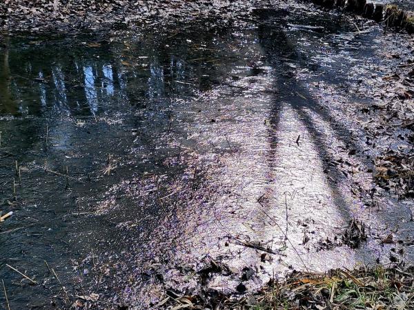 9-佐藤-春よ来い、早く来い1769689130947