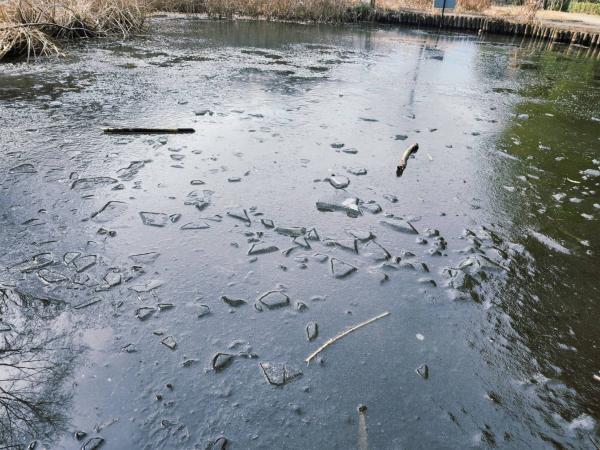 9-佐藤-春よ来い、早く来い1769689131177