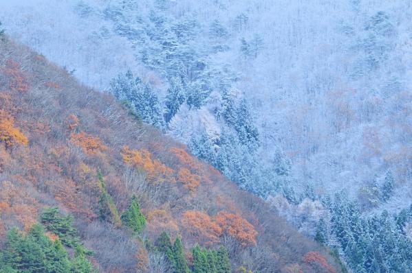 11-野口冬の到来ー2