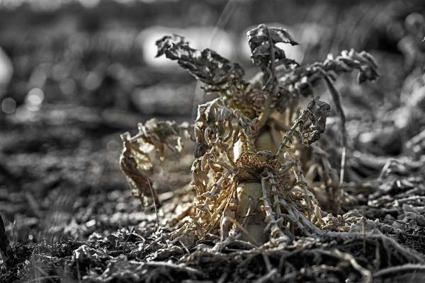 12坂本-春を待つyuki21