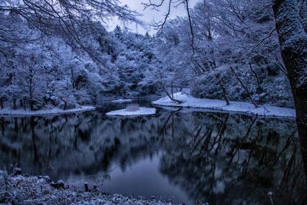 9坂本-雪の朝-_DSC1310-PN