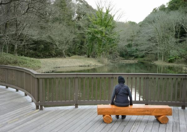 1福塚● ２月の谷戸山公園-Ａ