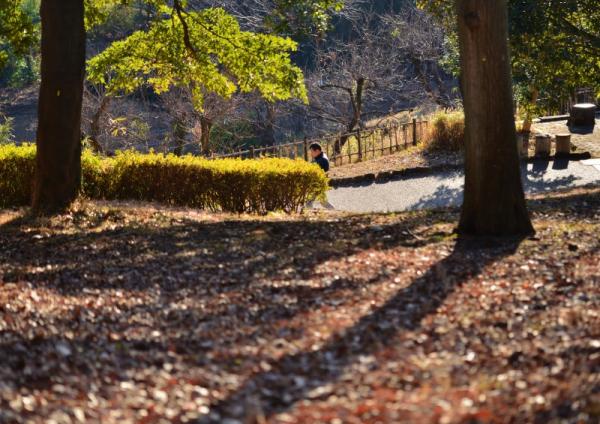 1福塚● ２月の谷戸山公園-Ｂ