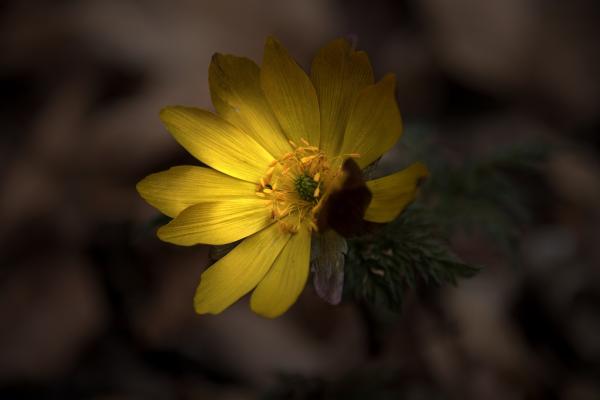 12坂本－目覚め-kazu22