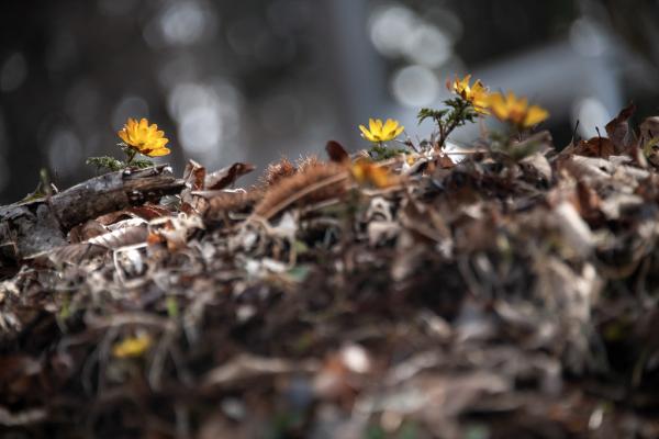 12坂本－目覚め-kazu32