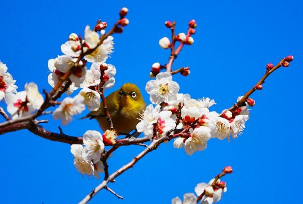 5勝田s-19P1001メジロさん