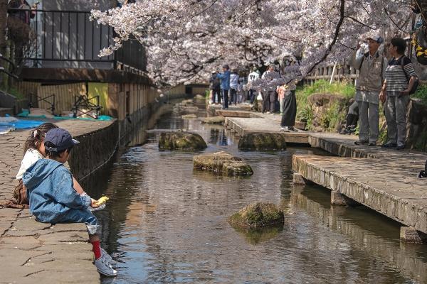 10-1坂本－水辺の語らい_DSC2200-PN