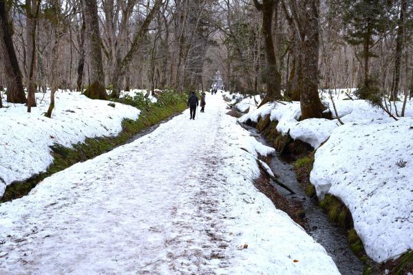 12戸隠神社参道