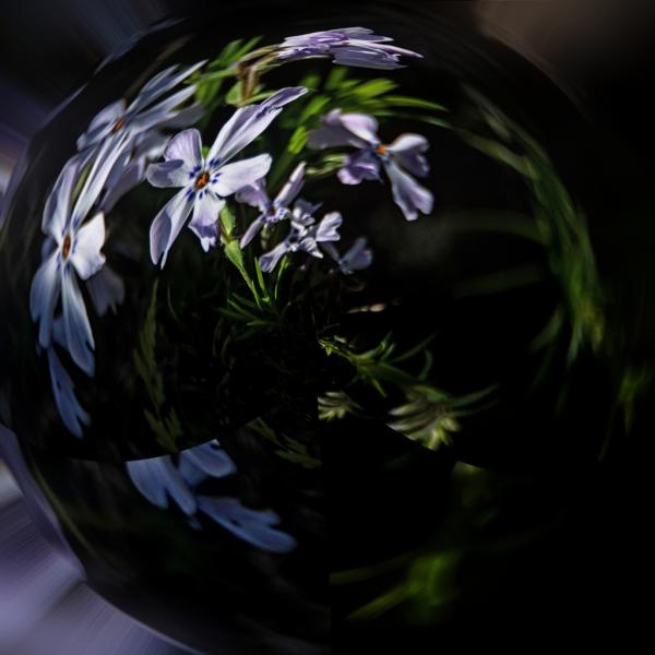 7-1坂本-光の贈り物_DSC2618-PN4