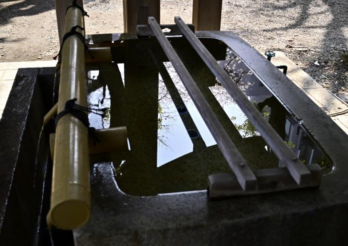 3福塚● 手水の桜