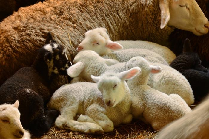 8s-DSC_9277&rarr;2&rarr;撮影者&rarr;池上&rarr;タイトル&rarr;幸せ時間