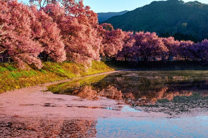 9②小澤ー六道の堤２