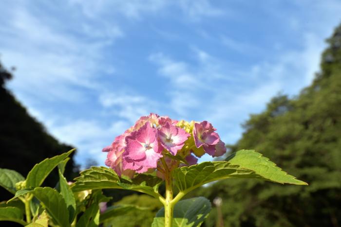 5-1「鳥のように」　岡　s-DSC_1883