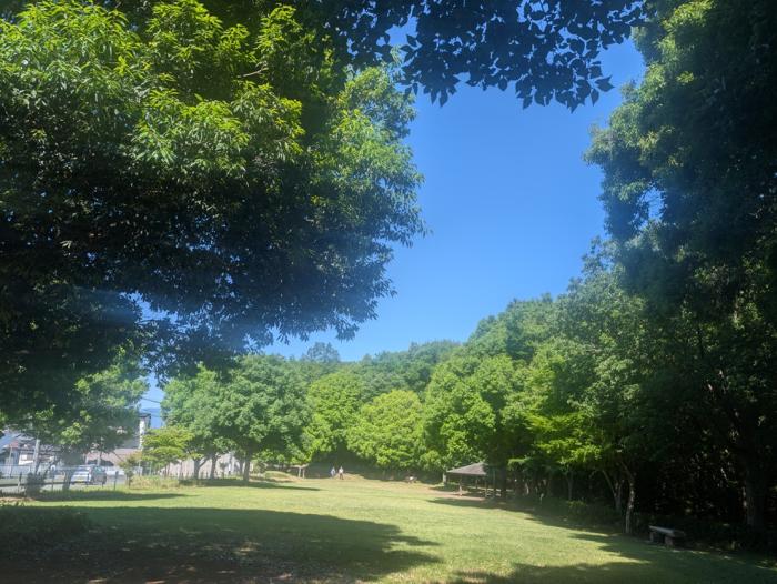 9-田添谷戸山公園　南口の風景　PXL_20260529_235001291 - コピー (5)