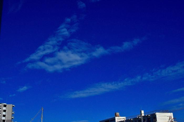 8野村－夏空に流れるいかだの如くs-s-DSC_0030_23