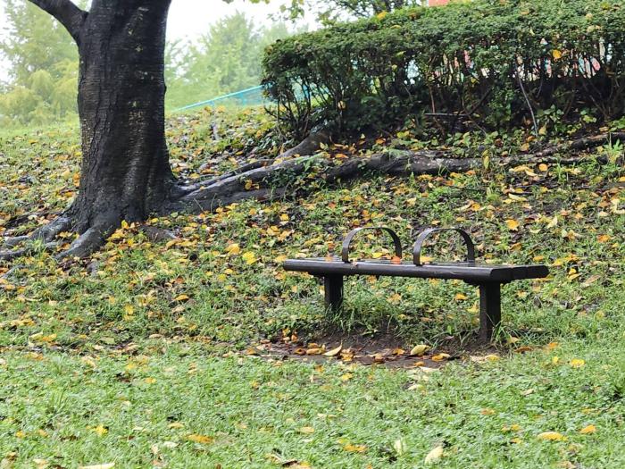10-佐藤-雨の公園1790768170030
