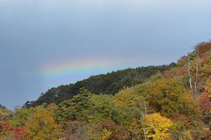 7-渋谷s-1虹と紅葉