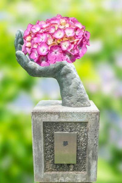 7柴崎夢