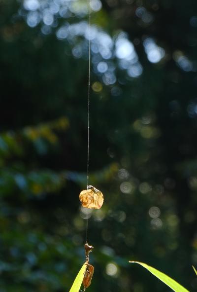 3山口陽を受けて