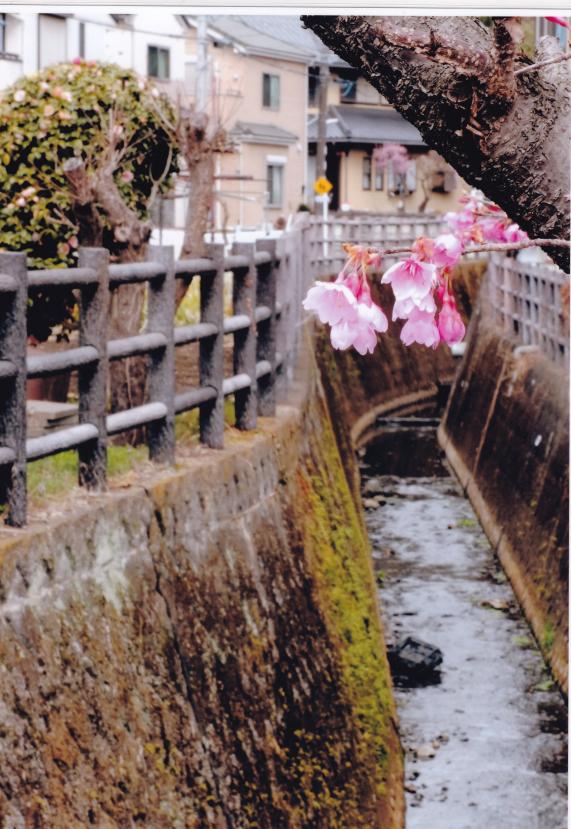 1　山口