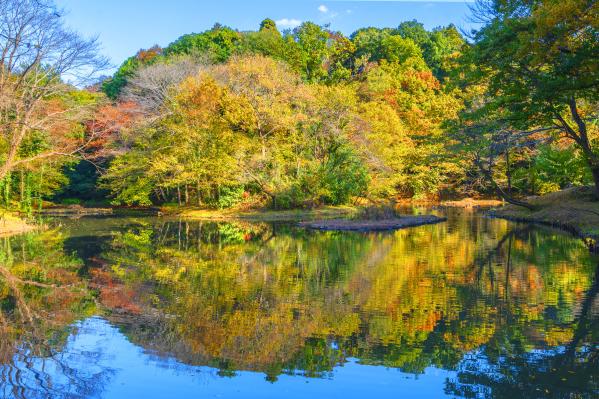 7柴崎晩秋の香り-6jpeg