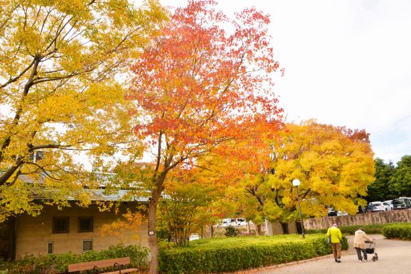 11栗田　「晩秋の昼下がり」　