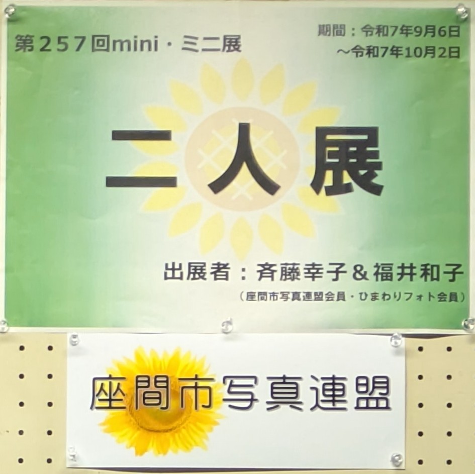 展示大タイトル