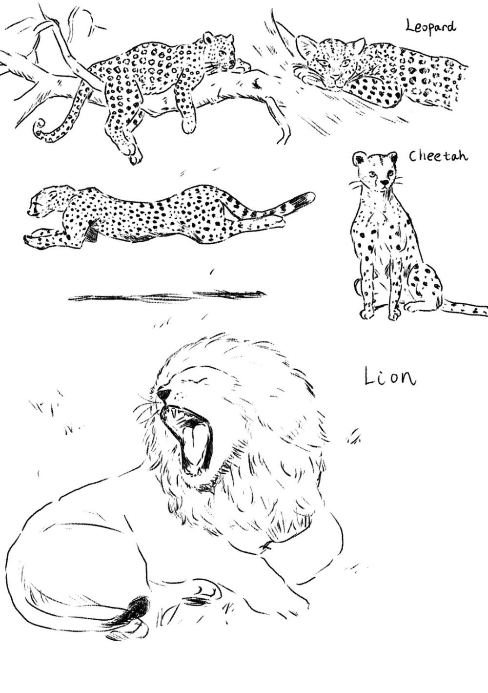 やまびこ岩崎奈々美