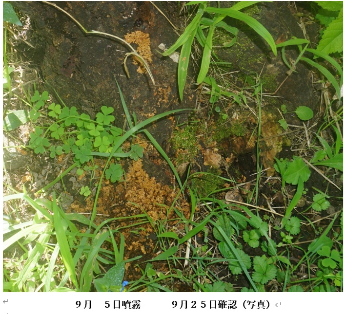 モスビラン 樹環噴霧