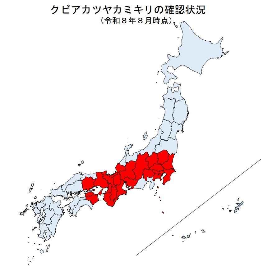 2026年8月現在のクビアカ被害状況