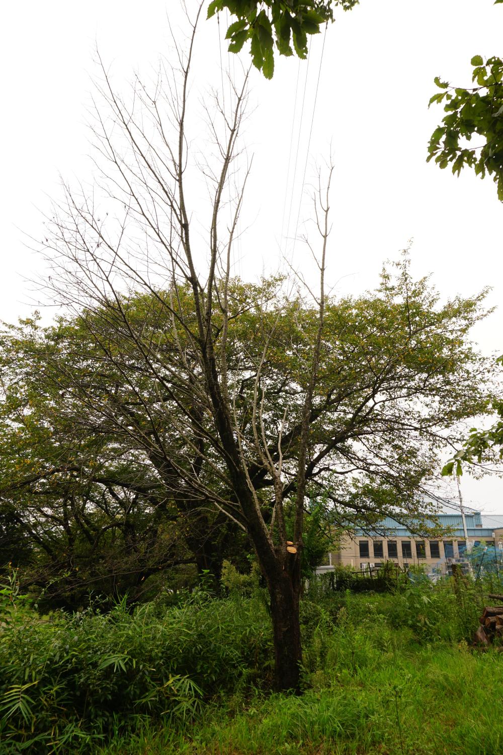DSC04834