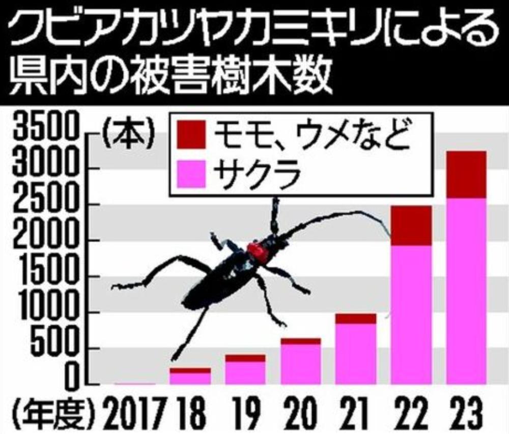 被害の推移　下野新聞