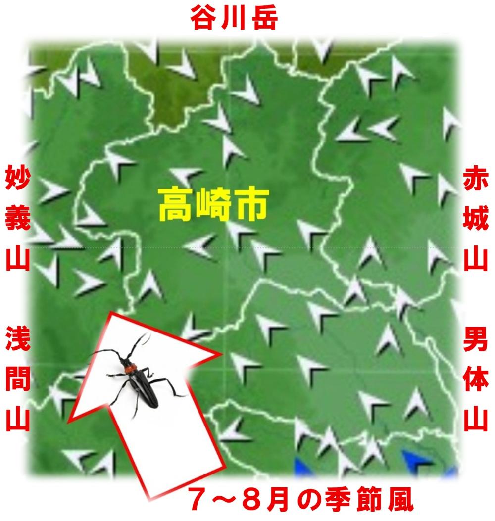 風に乗って飛んでくるクビアカ3