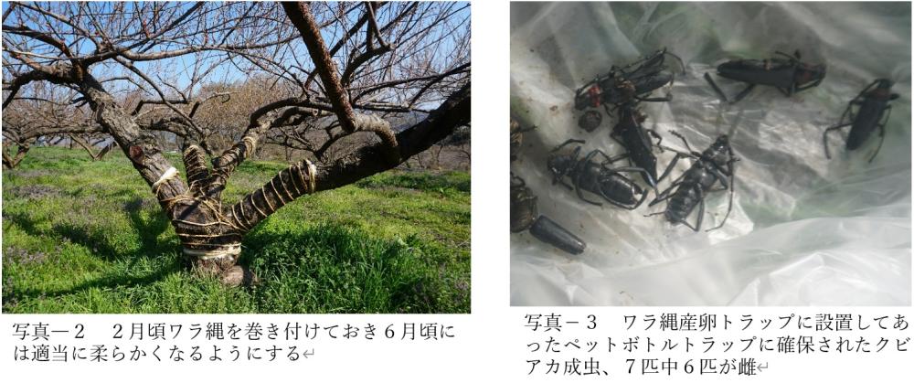 タイトルなし