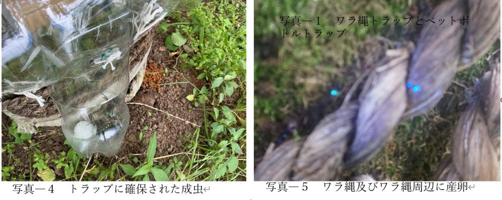 写真　４～５
