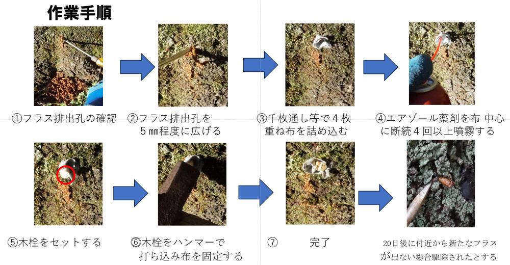 作業手順 (2)