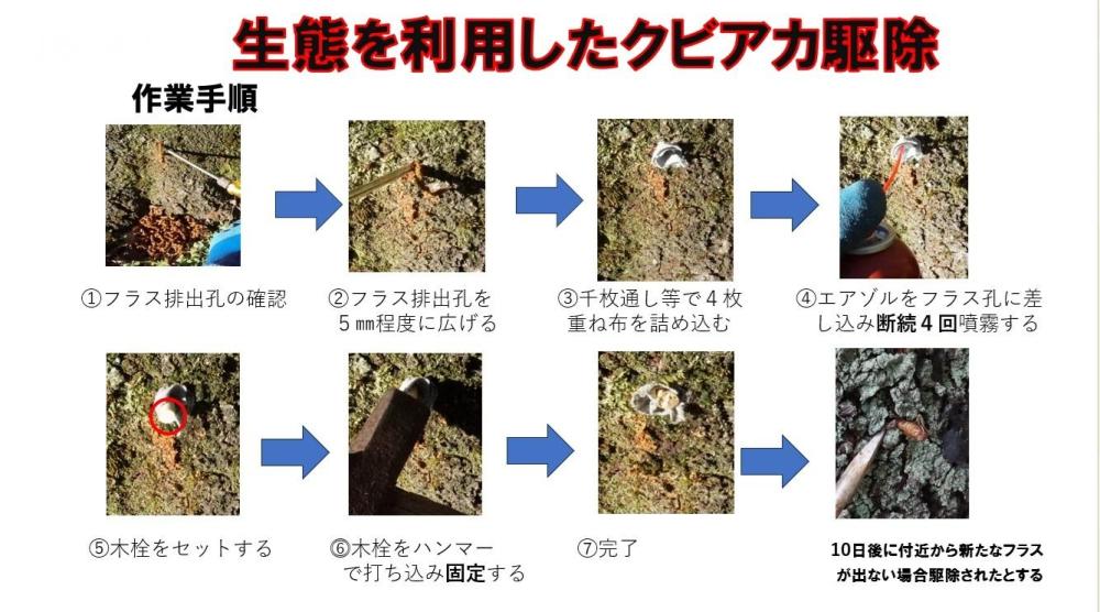 作業手順