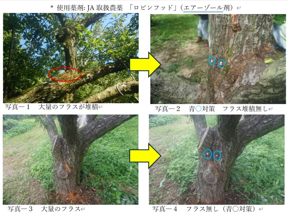 梅の被害と対策