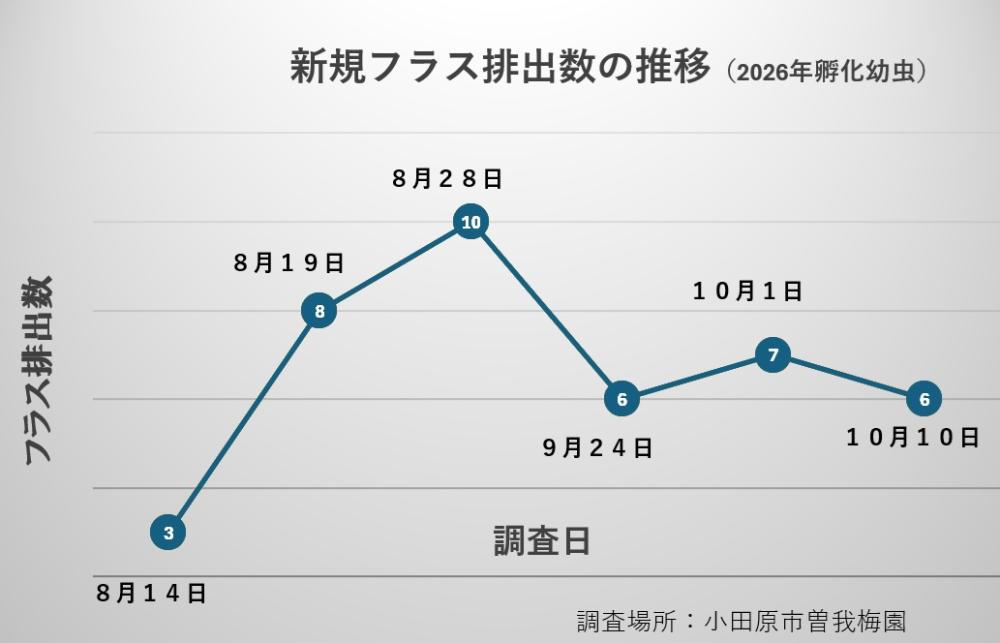 2026年孵化した初令幼虫のフラス排出数の推移