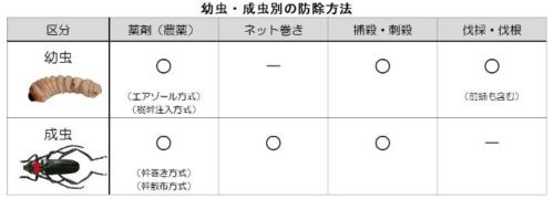 東京都クビアカツヤカミキリの防除対策