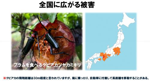 全国に広がる被害